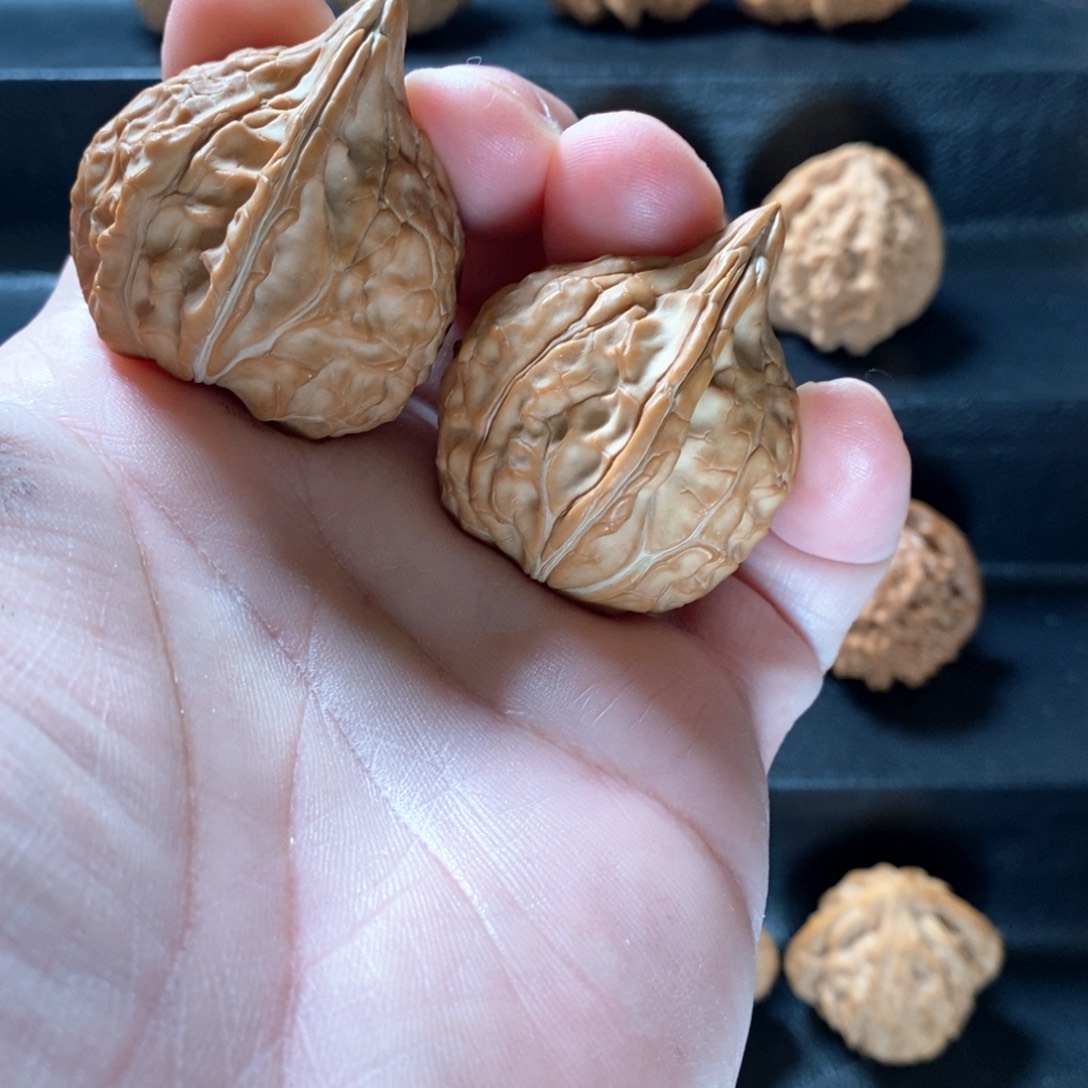 桃核把件全品龟甲纹肚差尺36