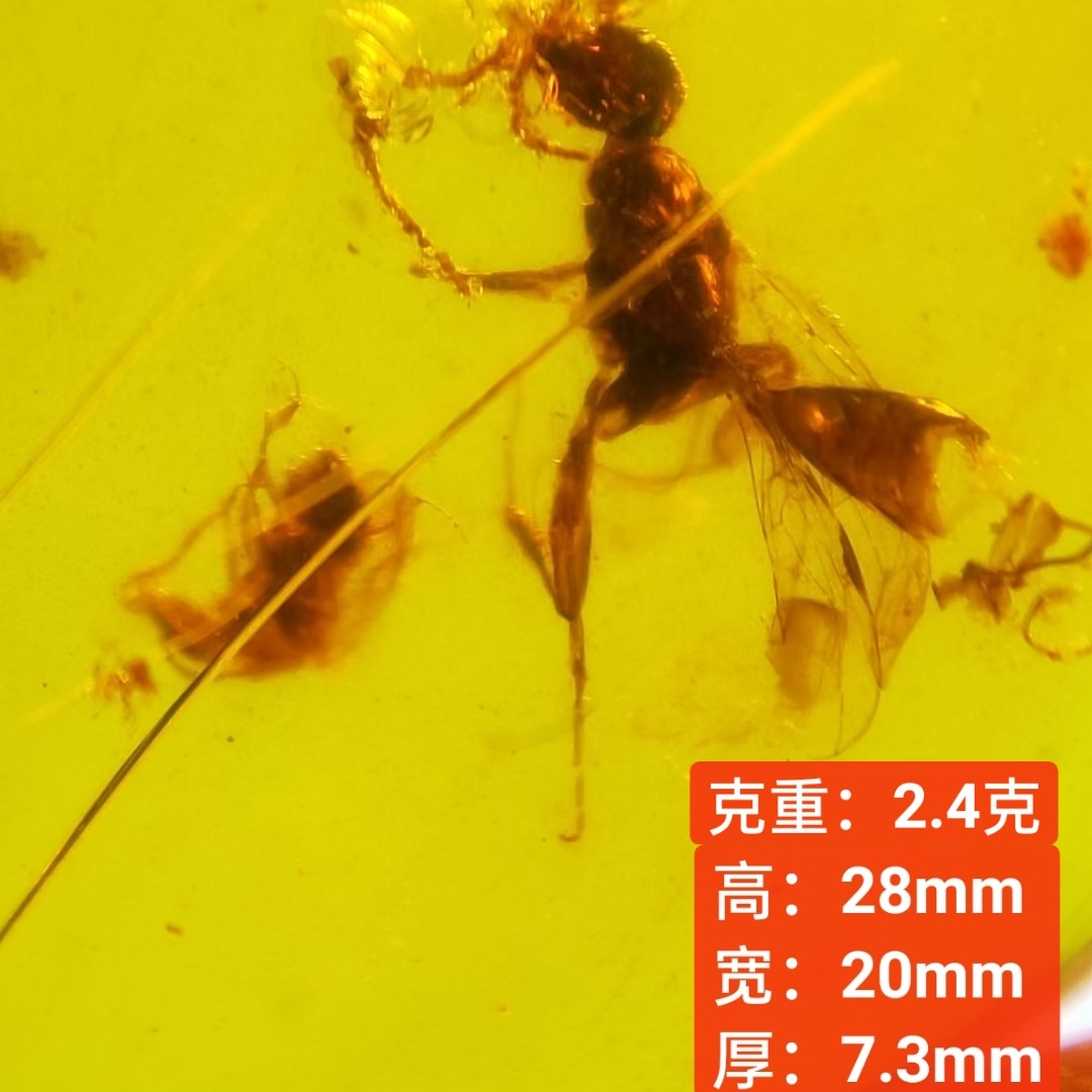 蜂捕食情景珀吊坠925银镶嵌天然缅甸琥珀虫珀原石裸石无优化保真