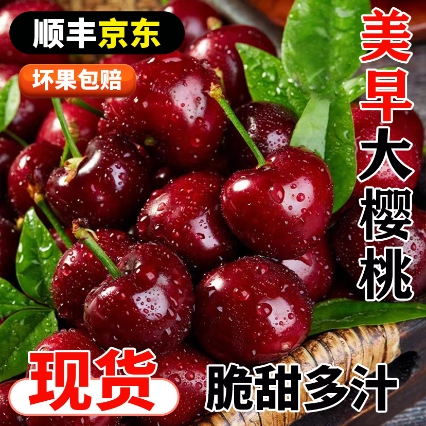 【送2斤美早樱桃】L烟台新鲜美早大樱桃空运应季新鲜孕妇水果5斤装