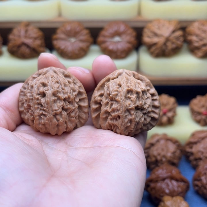 39全品三角白狮子头