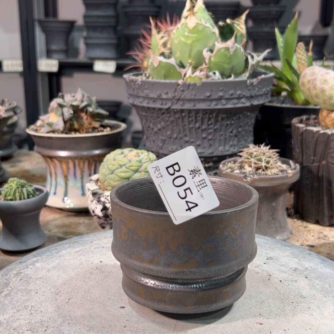 景德镇手工素里内口9.5高8