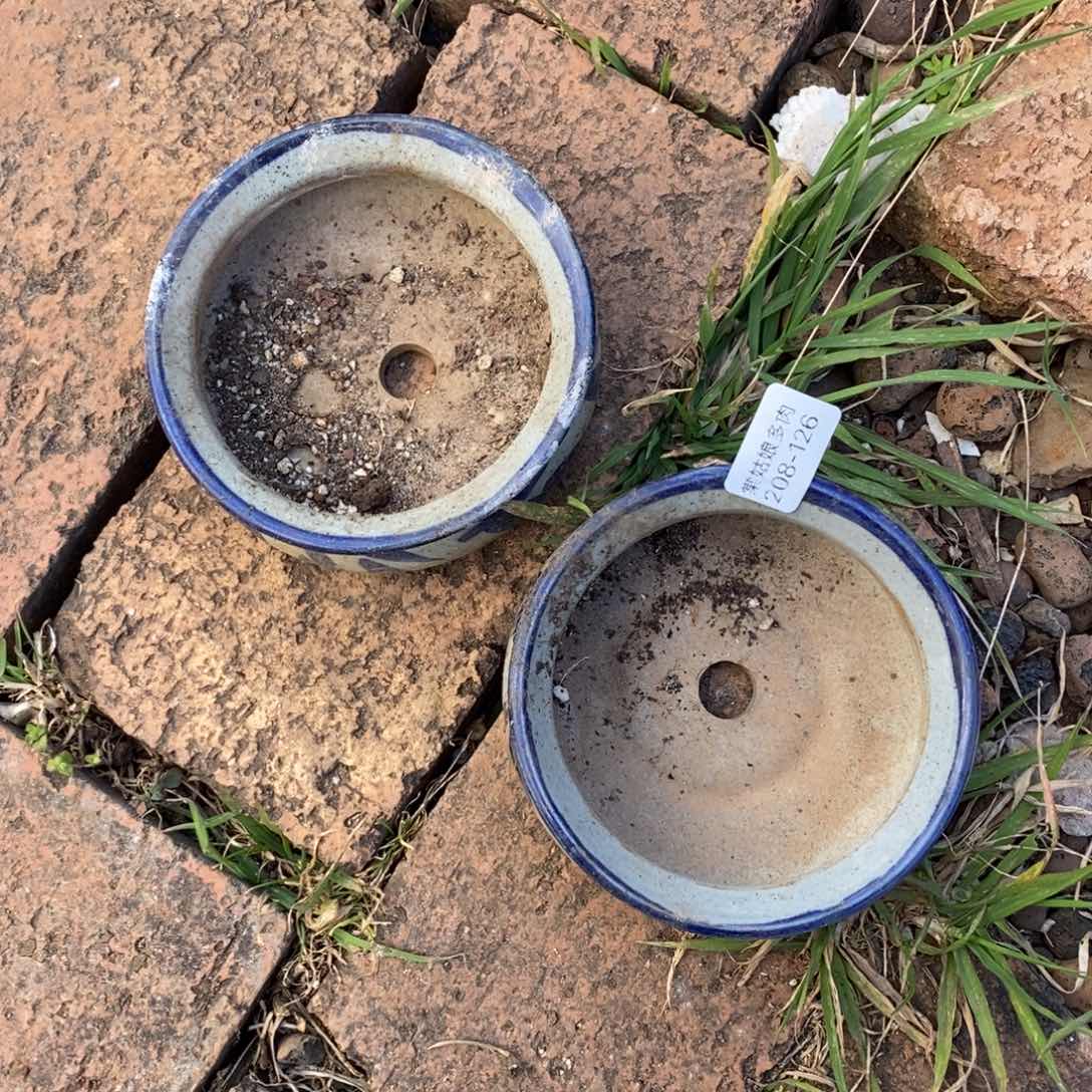 126号两个组合多肉盆