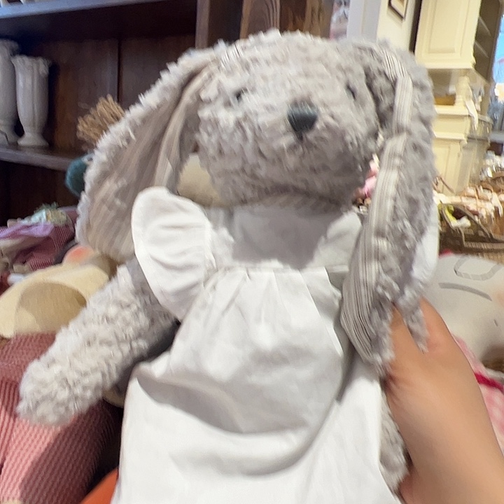 雨妈推荐好看的兔子