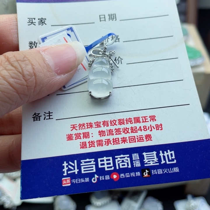 翡翠颈饰银S925镶嵌佟