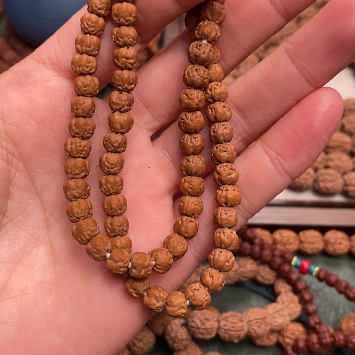 菩提橘*?佛手小金刚