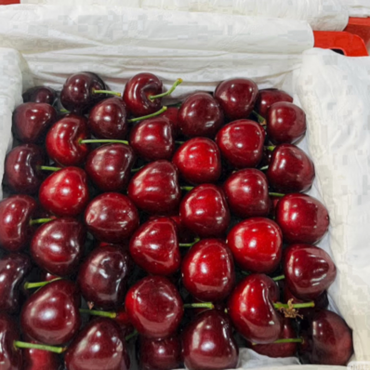 【顺丰次日达】美 早5斤新鲜采摘酸甜可口越大越好吃桃当季新鲜水果桃子山东省