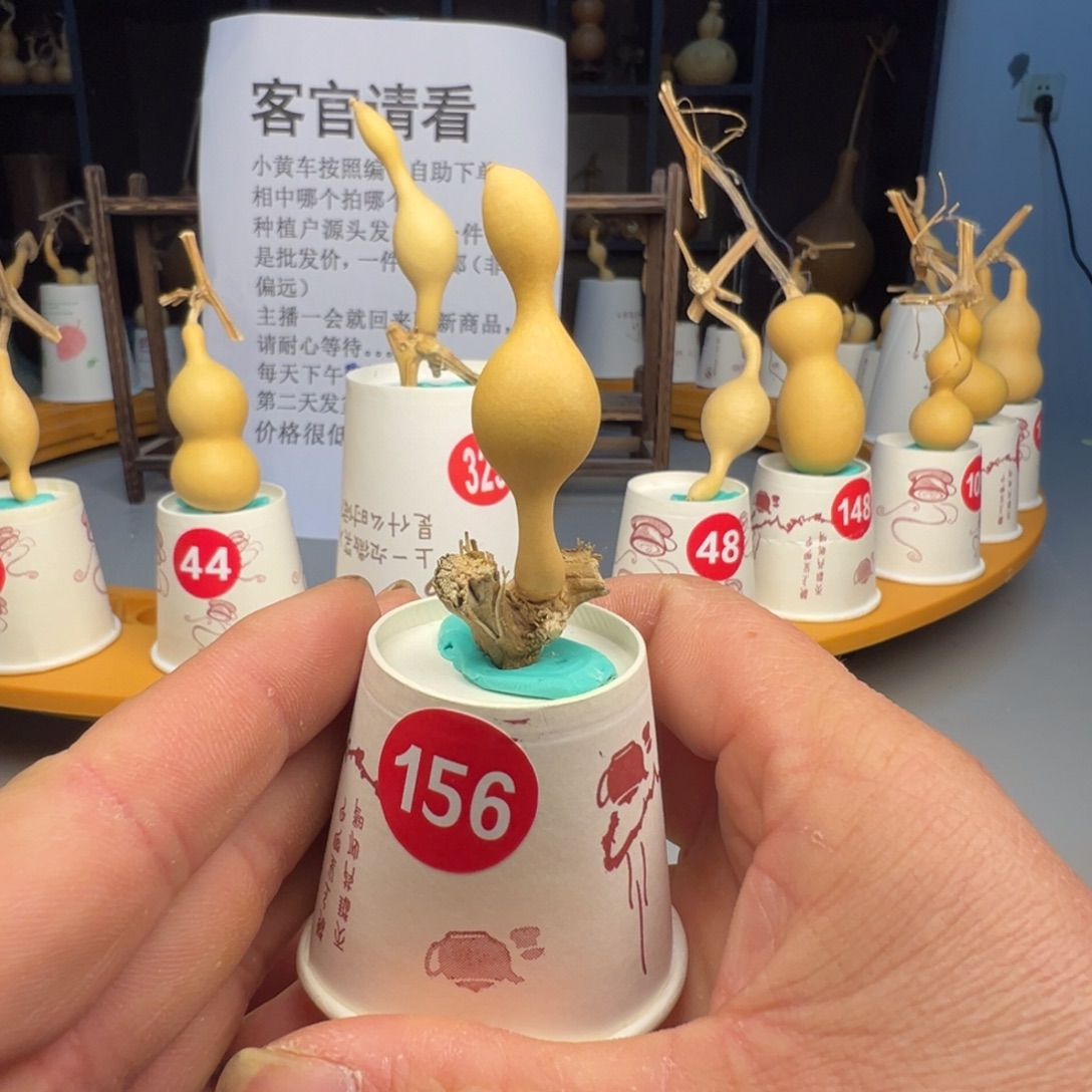 闪电购自助下单编号156