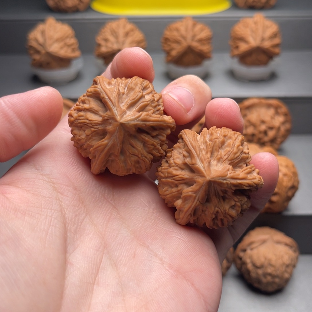 文玩核桃把件36x36御龙