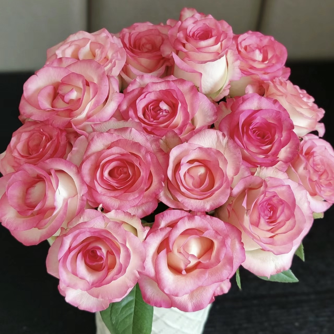 艾莎玫瑰20支【1单包邮】云南鲜花家用