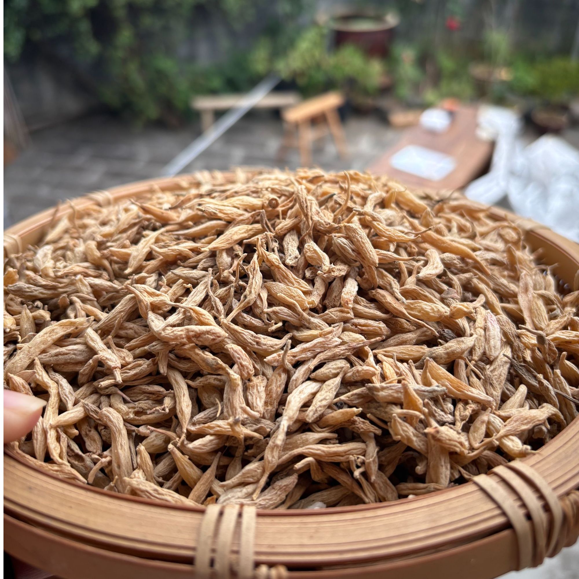 【刘土地家】麦冬 正宗野生麦冬特级正品