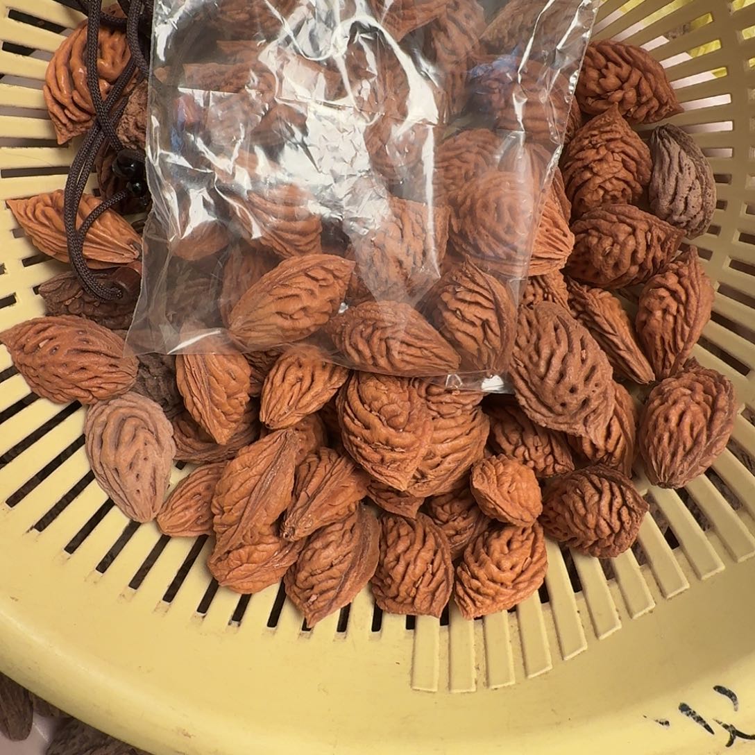 精品大桃核原核10颗