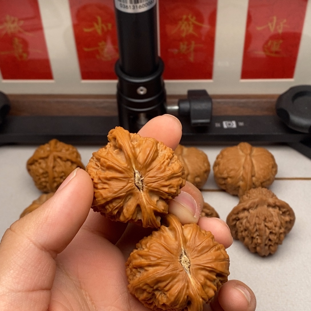 九***六核桃全品无修白狮子