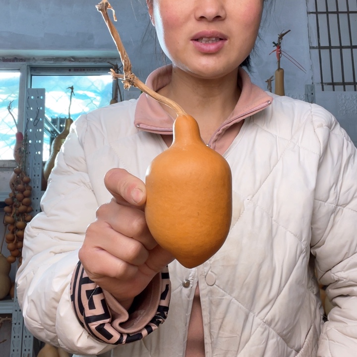 永***运天然植物葫芦文玩