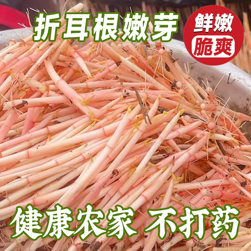 【冷链保鲜不好包赔】折耳根叶子嫩芽鱼腥草嫩叶叶清脆节节根猪皮拱