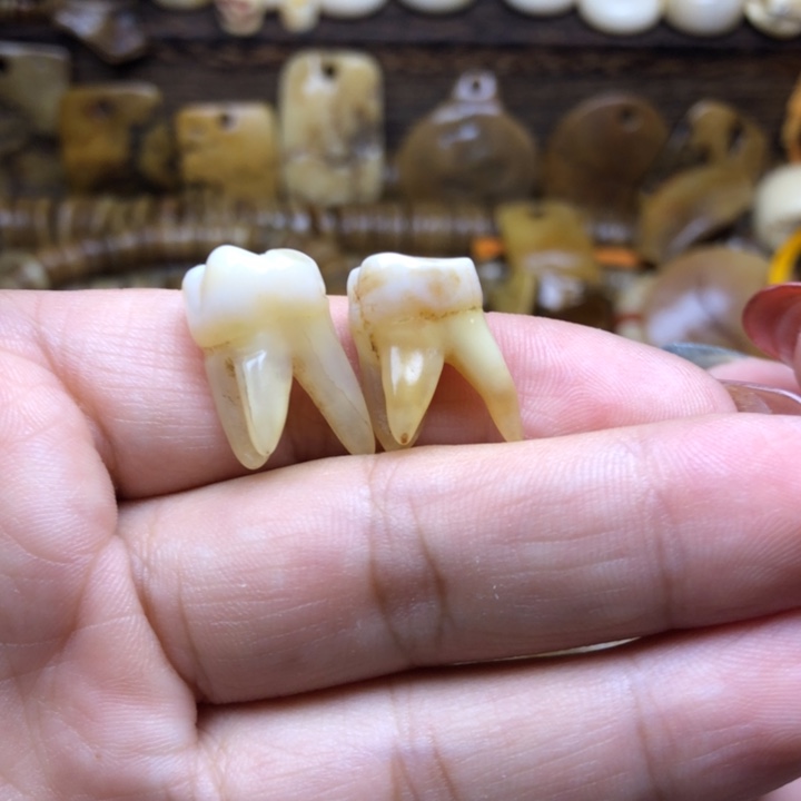 香榧木念珠手链手串手链