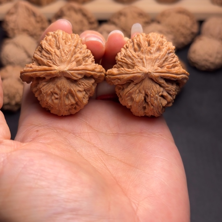 把件文玩核桃38白狮子