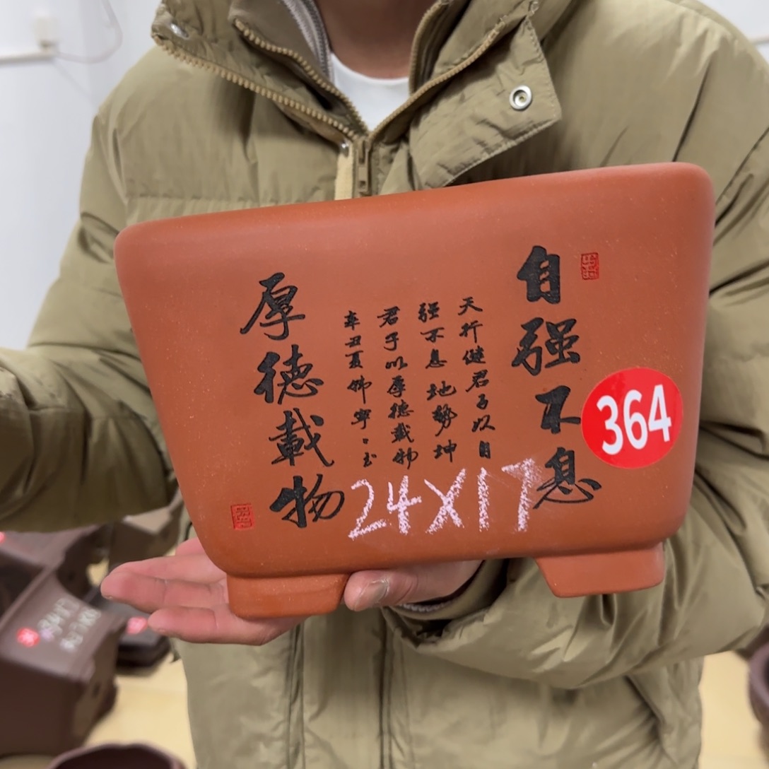 紫砂花盆呜呜呜呜