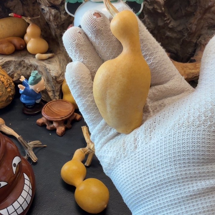 一***布6…………………………………………