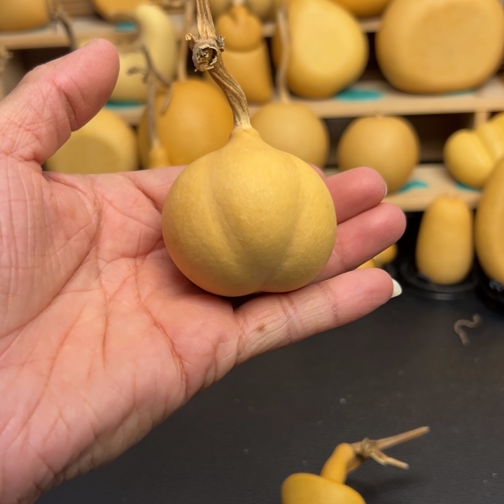 夏*葫芦葫芦公园里面