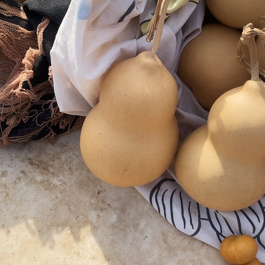 大厚皮胖墩葫芦，全品无伤