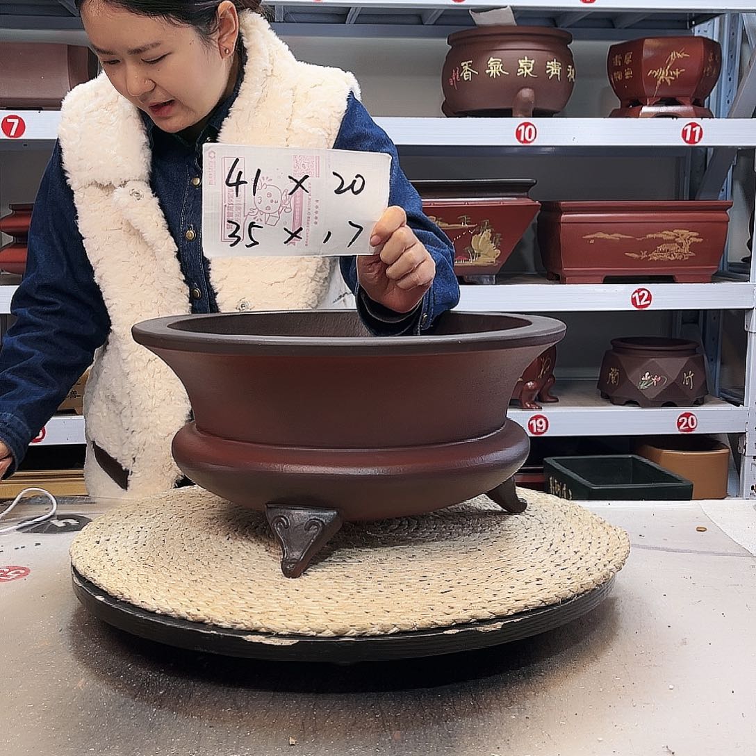 紫砂花盆紫砂花盆中