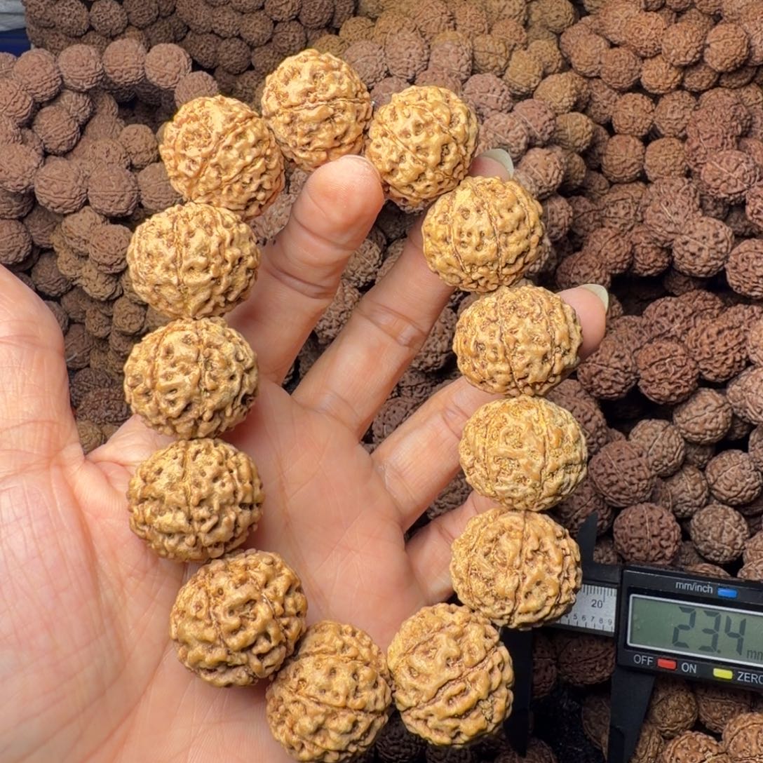 金刚菩提手串8瓣卡23尺，58号