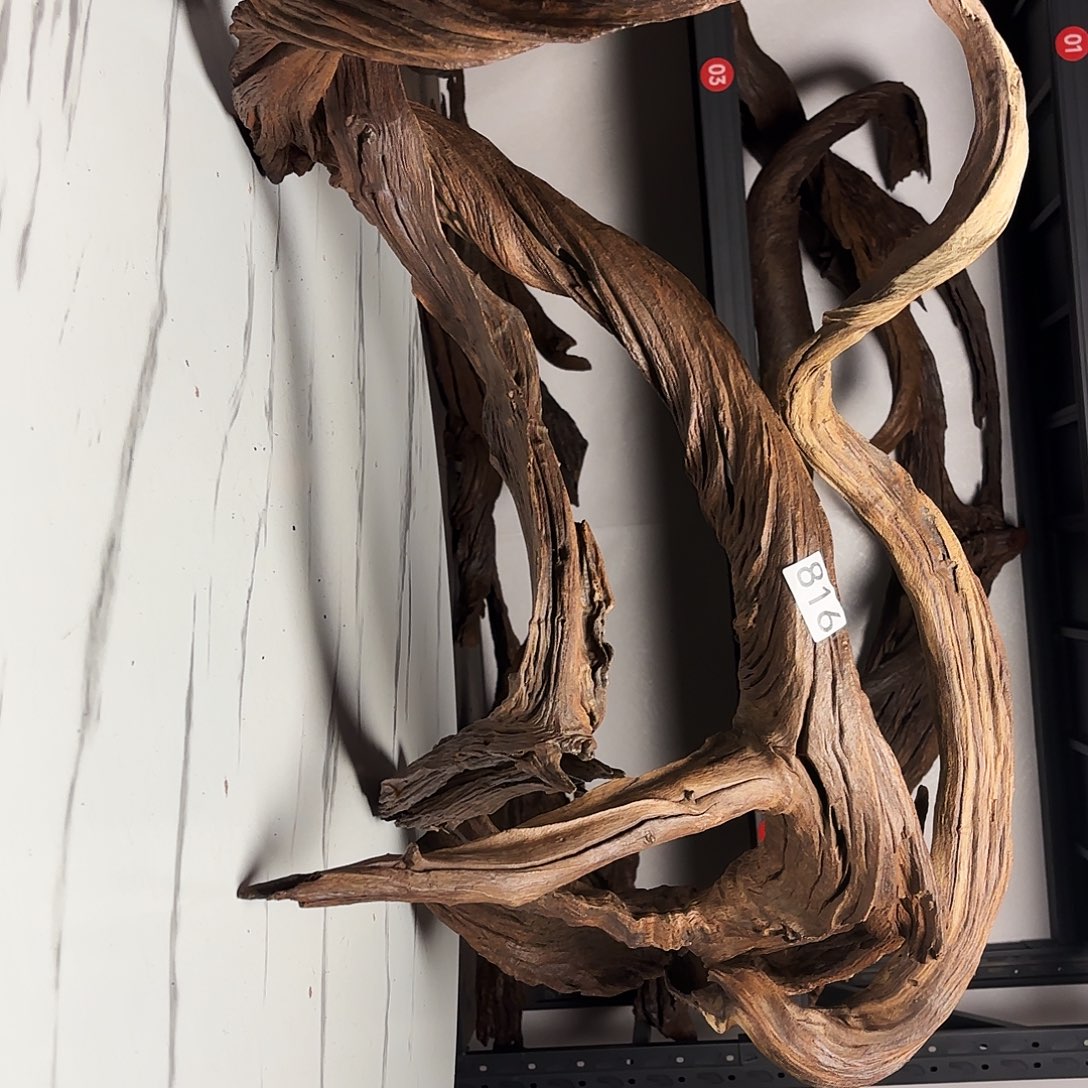 用***6云南本地紫柚木秒沉816