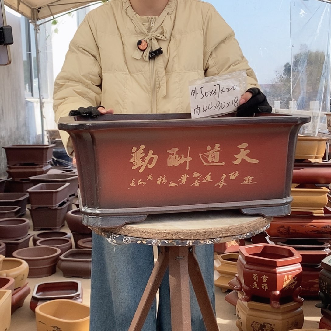 紫砂花盆紫砂花盆