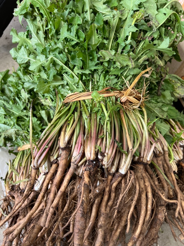 (赶集代购)黔岭依苗滋补农产品蒲公英干货500克