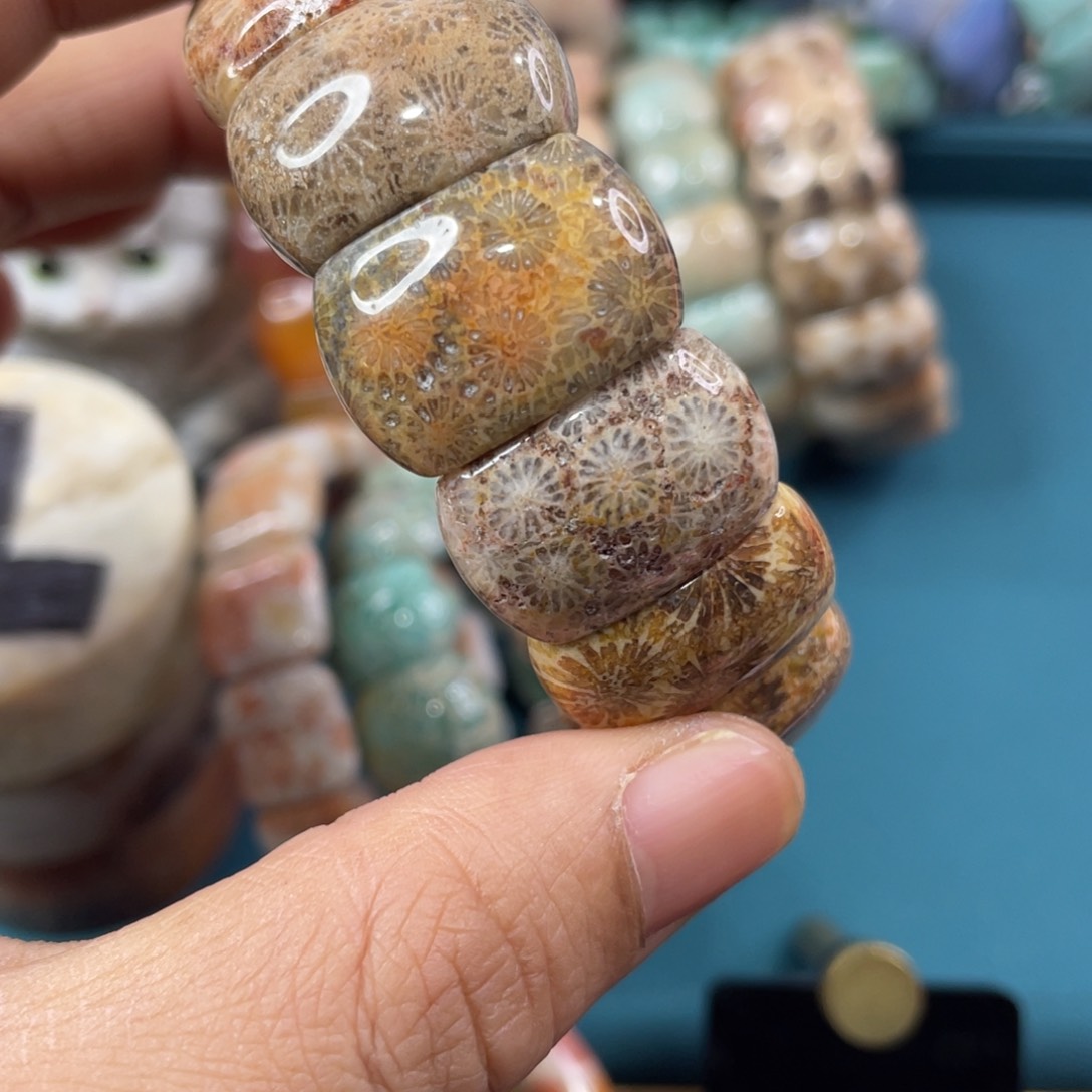 未镶嵌手镯硅化玉