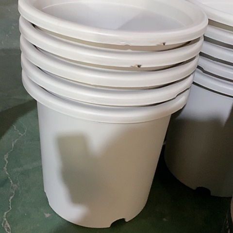 树脂编号834缺口