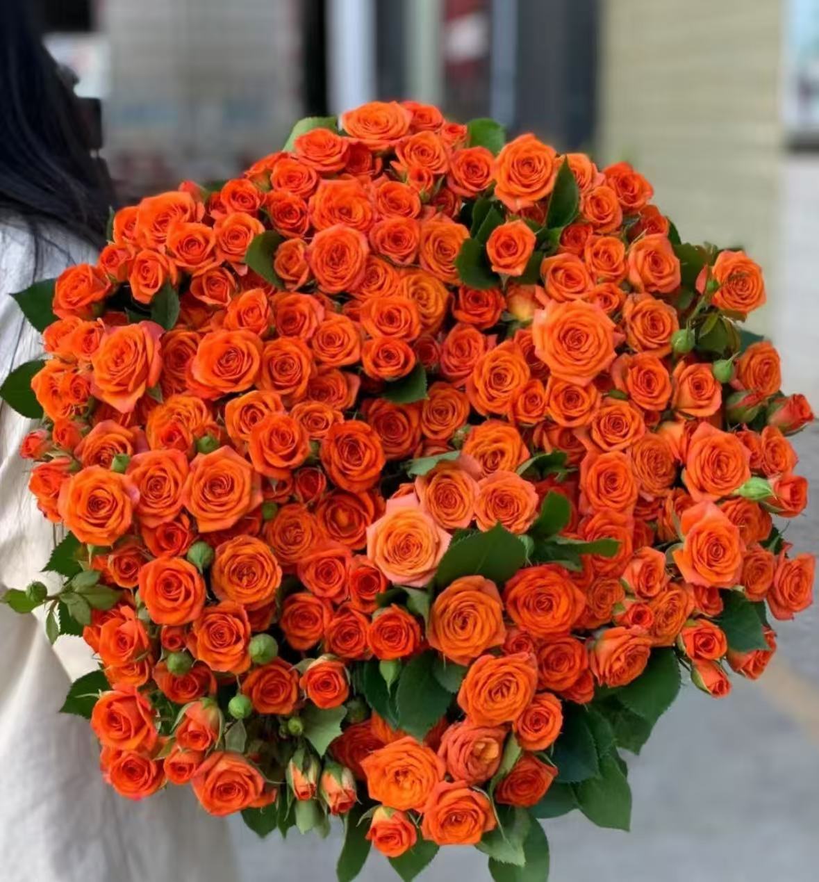 【橙色芭比多头玫瑰】亮橙色花期久 ，鲜花包邮（坤）