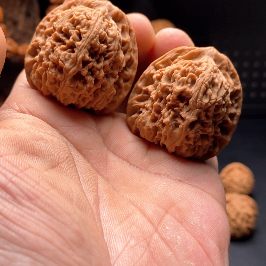 41全品南疆888888888888