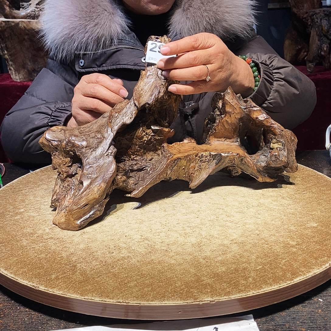 再***-290。株木随行根艺