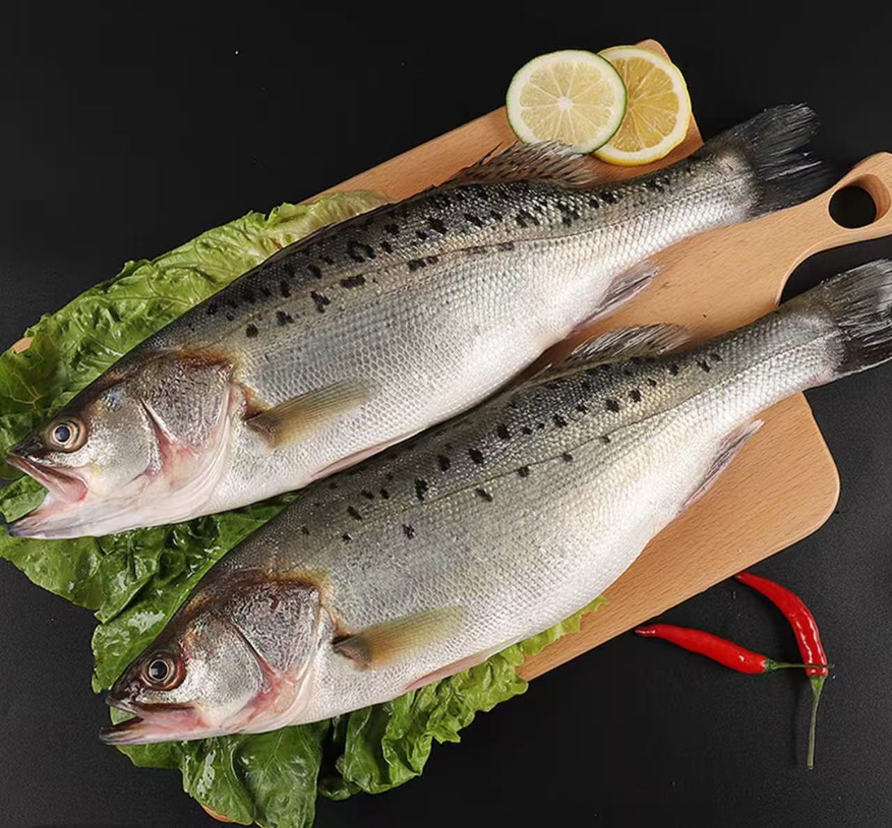 鲈鱼 厦门海鲜配送 顺丰快递  厦门发货  