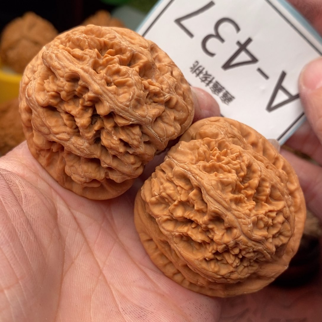 文玩核桃把件粗筋44