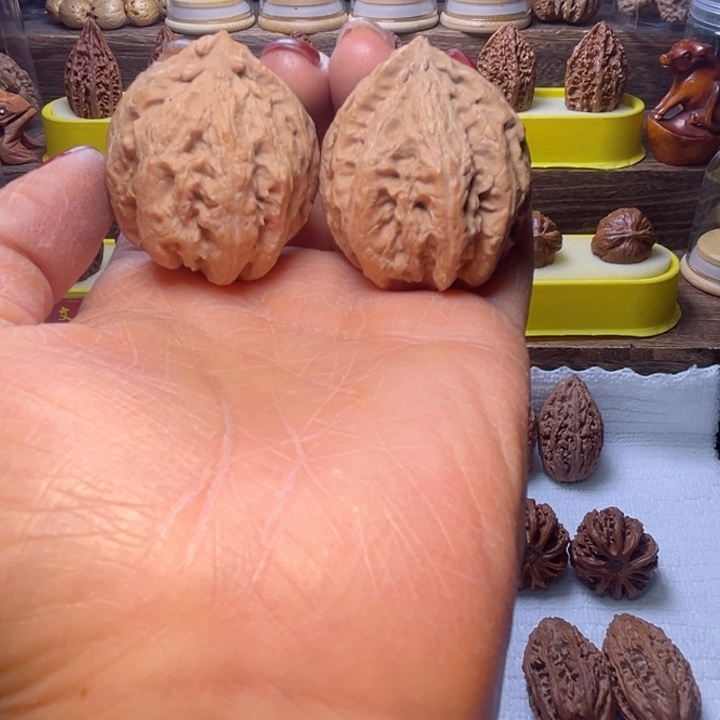 核桃4号车放漏漏漏漏天