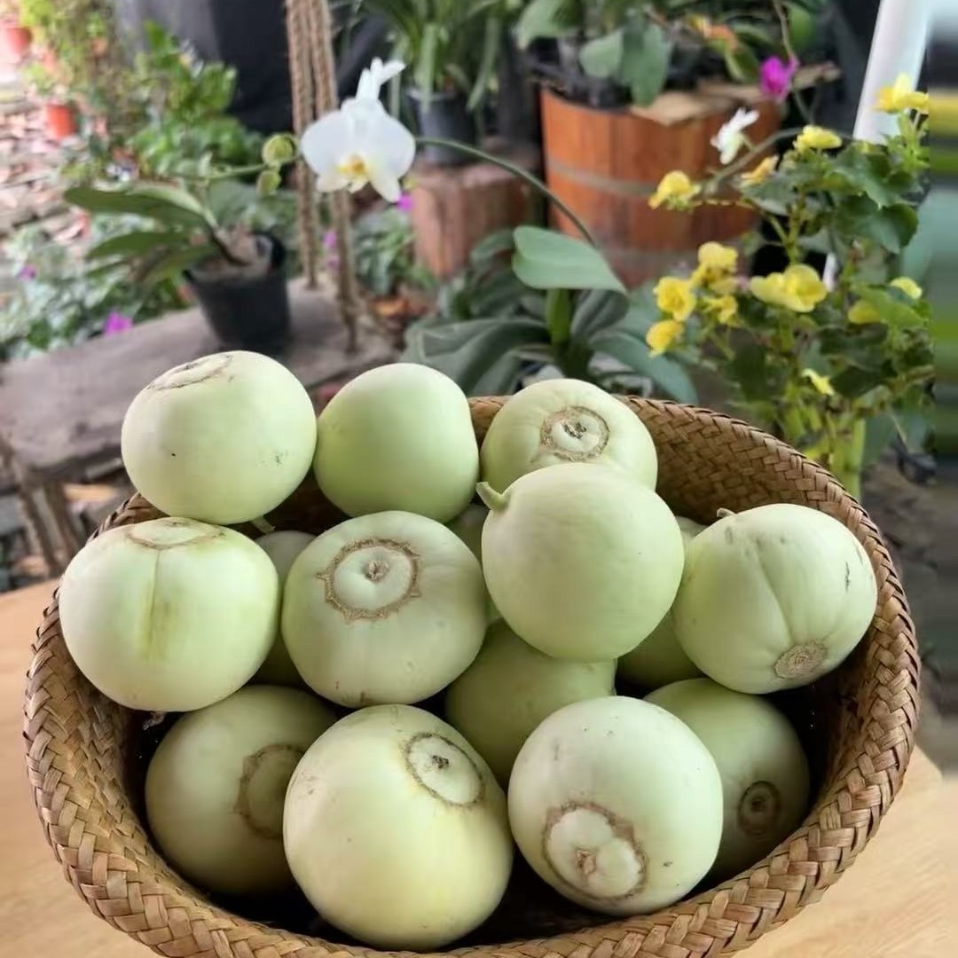 湖南飞天山香瓜五斤装【顺丰包邮】