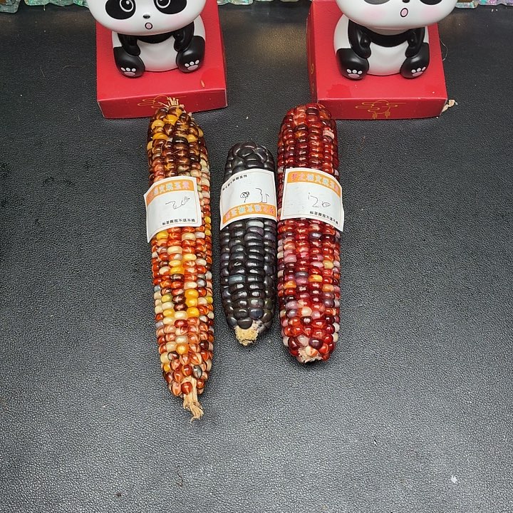 J***l柏香籽/百香籽吊坠