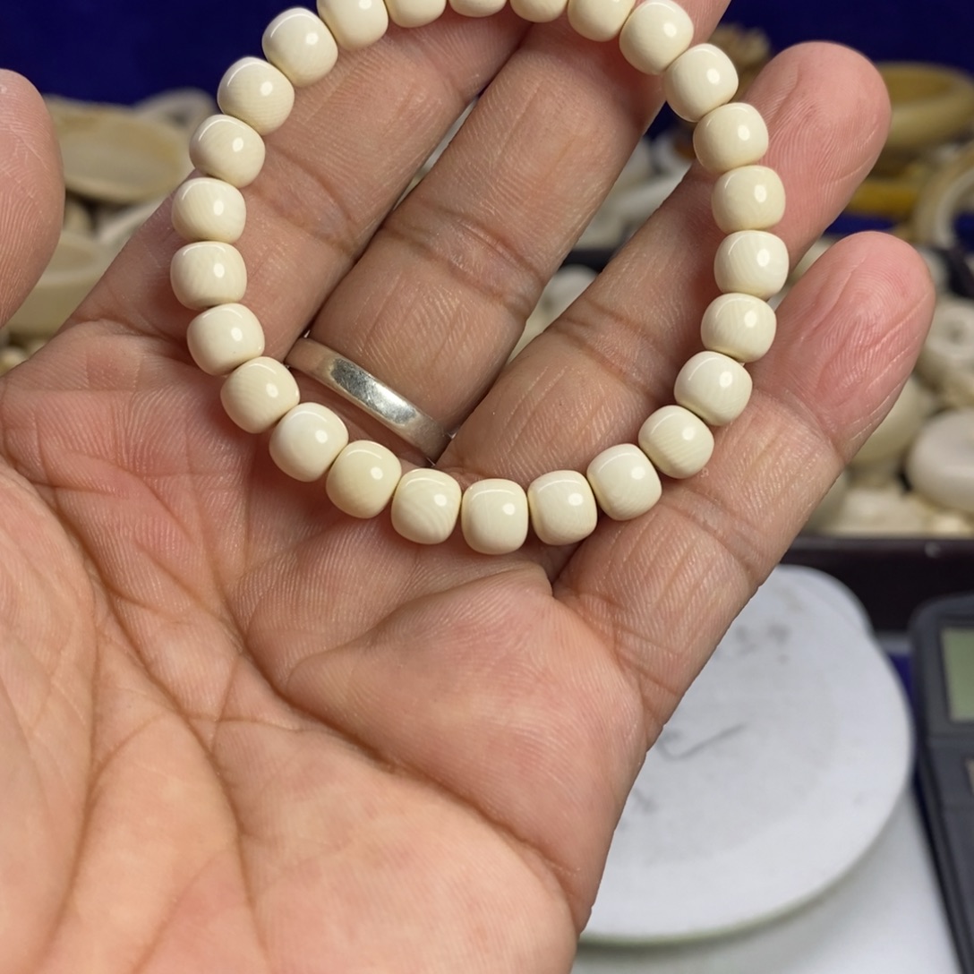 手串/手链贝壳向****馆猛犸