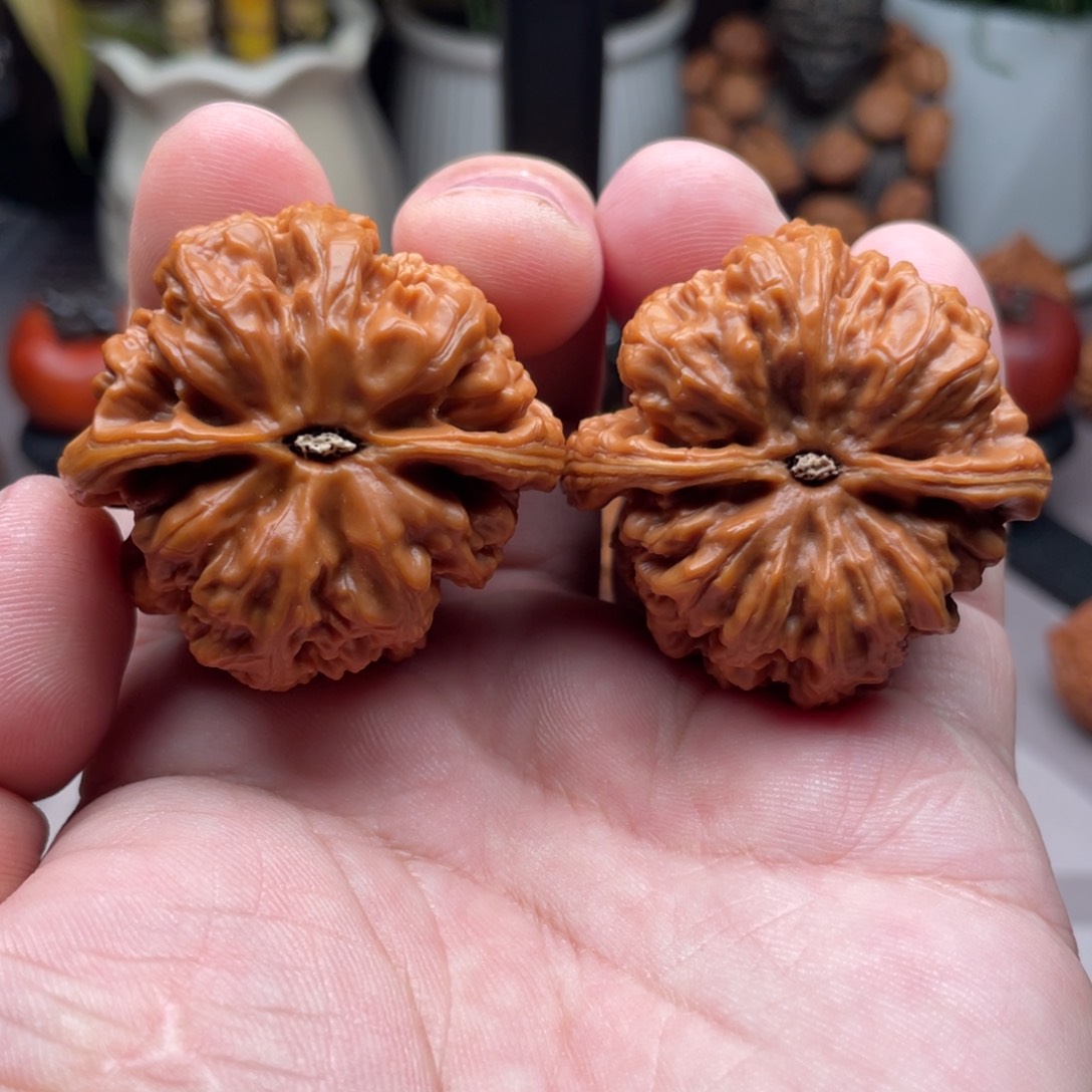 文玩核桃吊坠虾***?粗筋