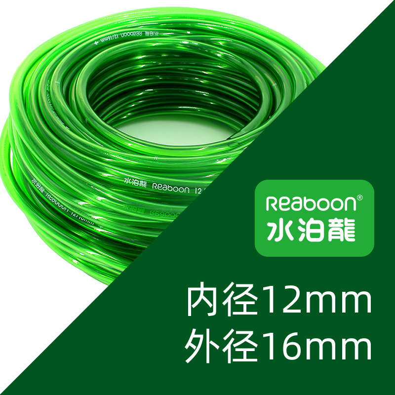 水泊龙（正品保证）
