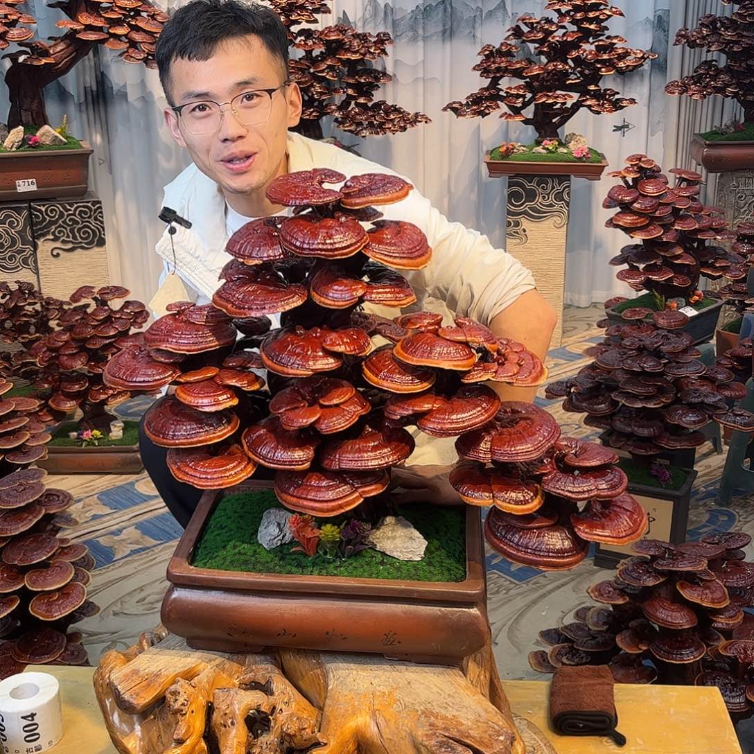 无花朵88888888888