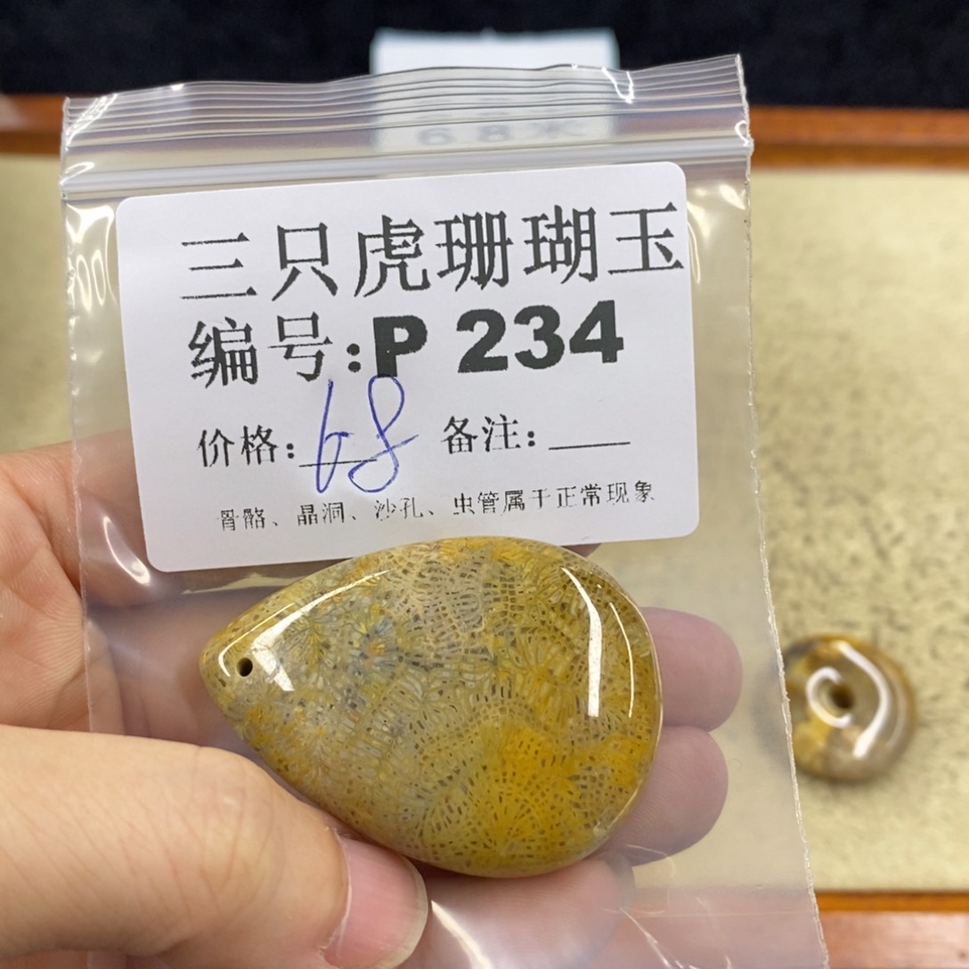 硅化珊瑚（珊瑚玉）1未镶嵌ℳ**