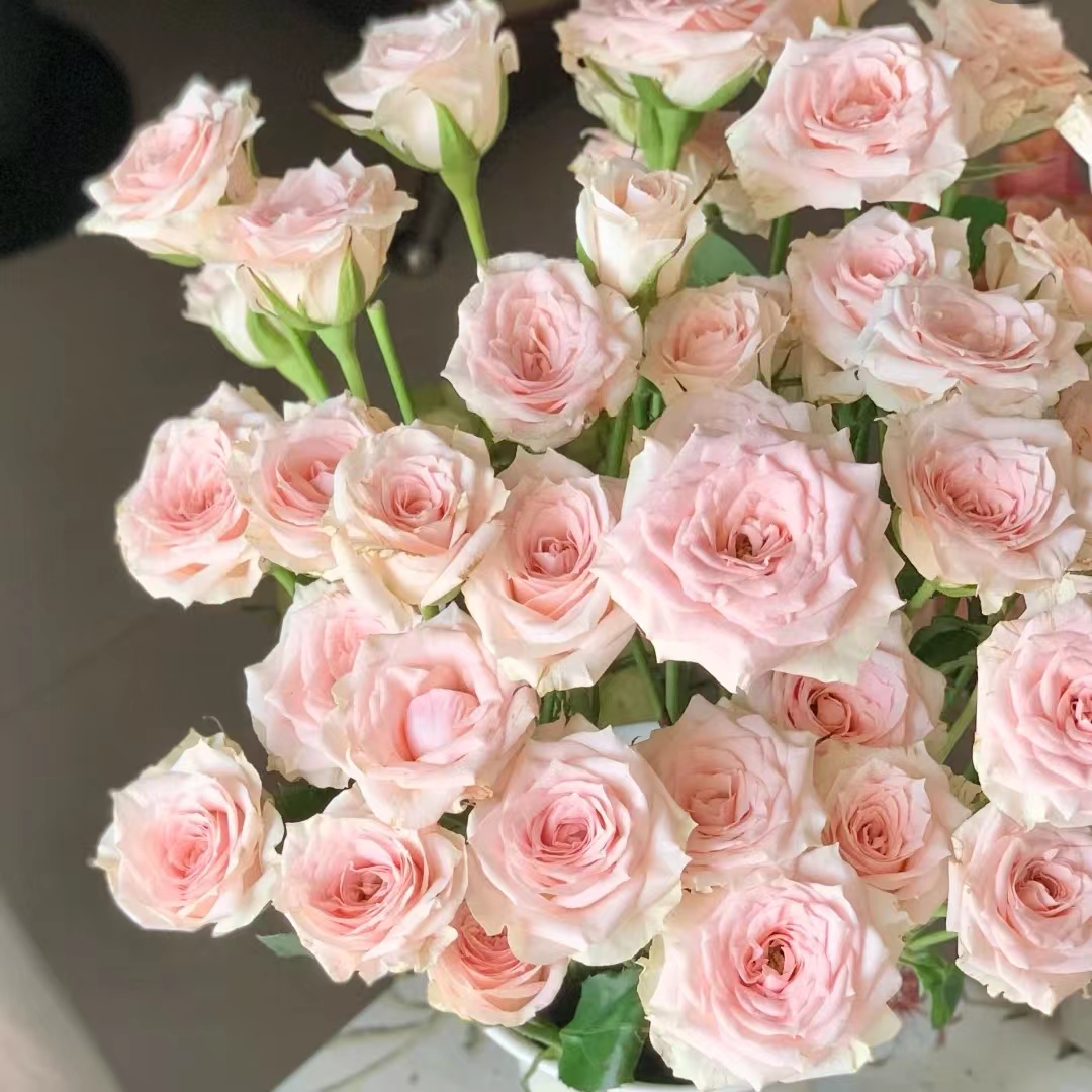 【大聪明卖花】心悦宝贝多头玫-任意2单鲜花包邮发货后不支持退款