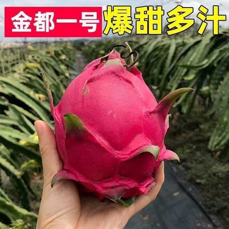 海南产地直发金都一号红心火龙果应季新鲜水果香甜多汁