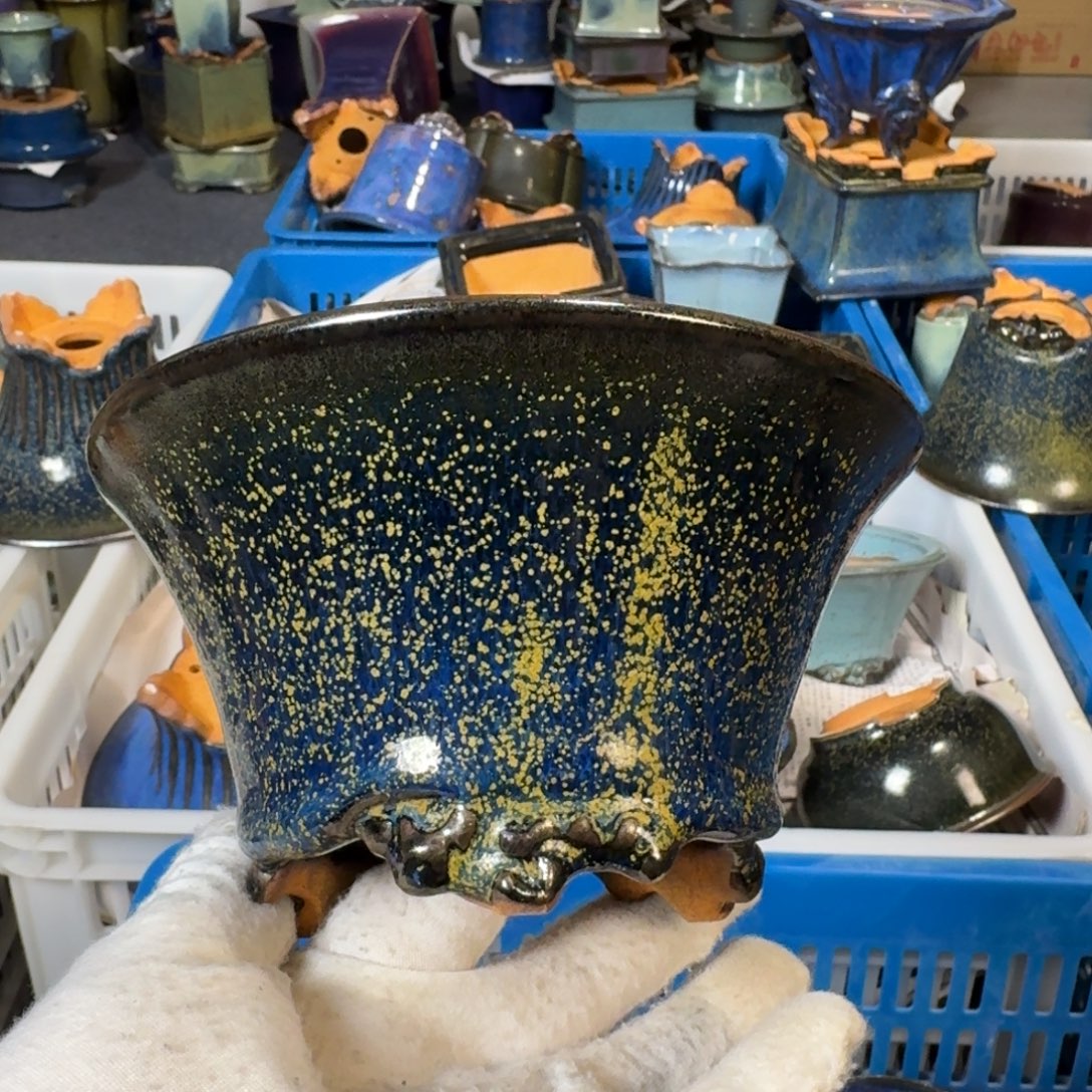 觉象花盆盆景盆盆景