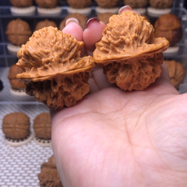 文玩核桃把件35号圣元狮王44尺