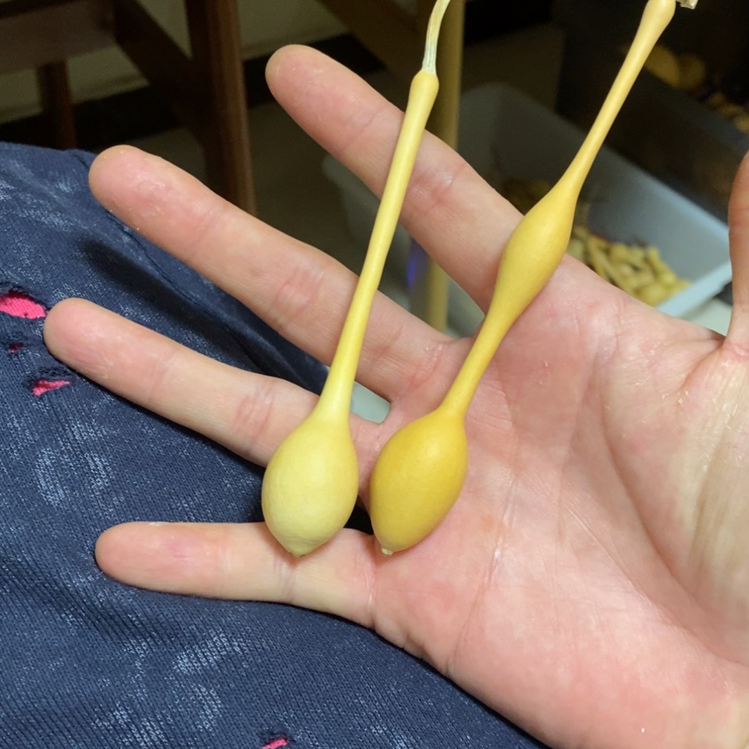 ****娜大理石磁石啊啊啊啊啊啊啊啊啊啊啊啊