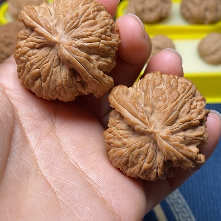 文玩核桃全品白狮子42